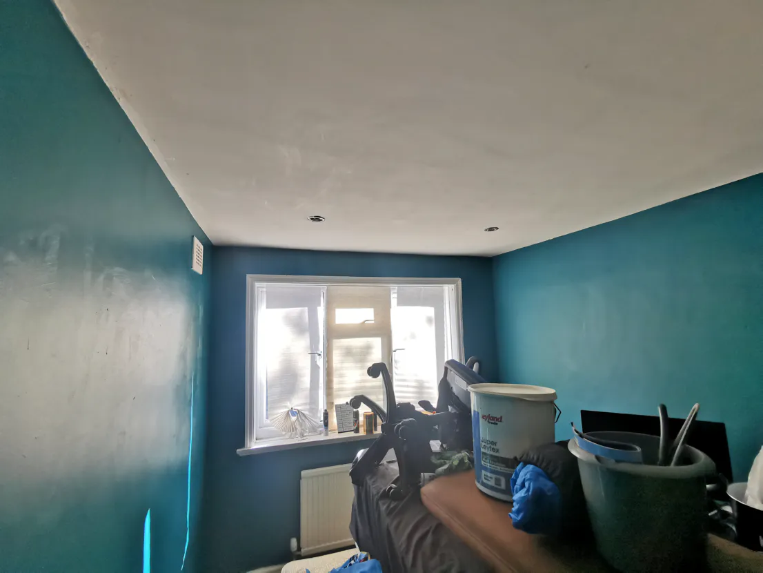 Repainting 2 Enlarged